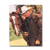 Horse 8x10